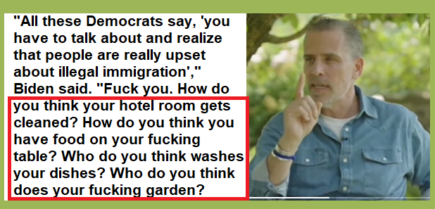 Matt_Bracken48's tweet image. Hunter Biden speaks for millions of elite DemonRats and Rinos who love having a helot class of serfs.