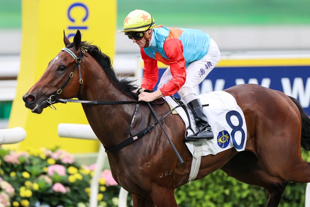 Bruce Perry (@bpbloodstock) on Twitter photo How good Jimmysstar (by Per Incanto) - confirmed for the Everest. Both he & Ka Ying Rising (dam by Per Incanto) were bred in the Central Districts of NZ. Congrats to <a href="/littleavondale/">Sam Williams</a> Ozzie Kheir & <a href="/MathewBecker/">Group 1 Bloodstock</a> who we were fortunate to work with to secure Jimmysstar from NZ How good Jimmysstar (by Per Incanto) - confirmed for the Everest. Both he & Ka Ying Rising (dam by Per Incanto) were bred in the Central Districts of NZ. Congrats to <a href="/littleavondale/">Sam Williams</a> Ozzie Kheir & <a href="/MathewBecker/">Group 1 Bloodstock</a> who we were fortunate to work with to secure Jimmysstar from NZ