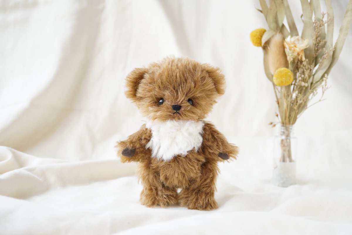 はすのポッケ　hasu＆opika　ロマンスベア はすのポッケ hasu＆opika ロマンスベア はす (@hasunokuma) / X