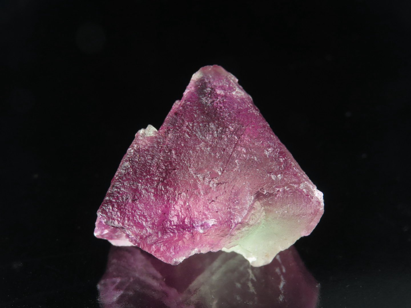 Oiseau Minerals（わぞみねらるず） on X: 