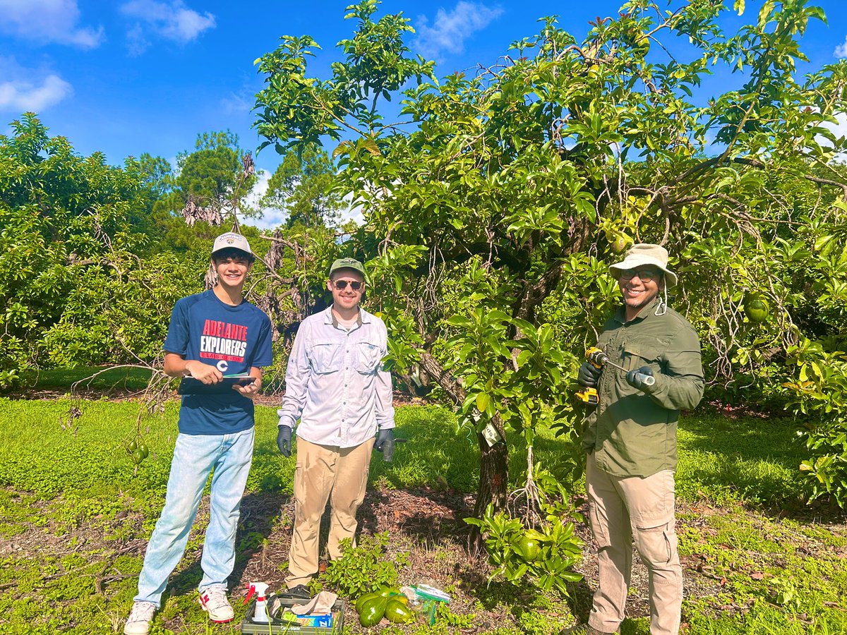 Tropical Plant Clinic & Research Lab tweet media