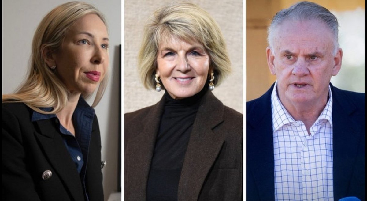 liammendes's tweet image. Latham's vulgar slurs against Julie Bishop
Embattled NSW MP Mark Latham sent messages to his former partner mocking the hairstyle of former foreign minister Julie Bishop, and making a vulgar remark about her genitals.
The exchange between Mr Latham and Nathalie Matthews follows…