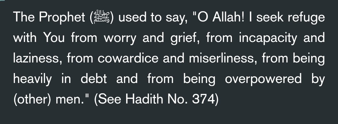 案 🌳🐤 tweet media