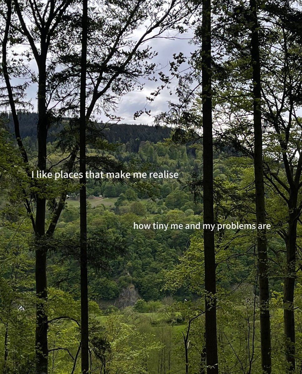 🍂 (@lovandfear) on Twitter photo 