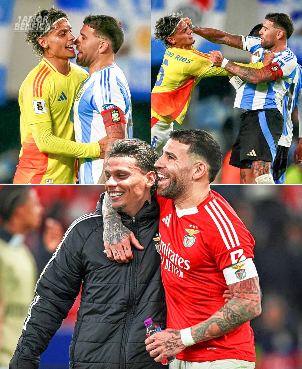rcostadoazeite's tweet image. Já fez as pazes com Otamendi?
Richard Ríos "Agora vamos ganhar títulos juntos"