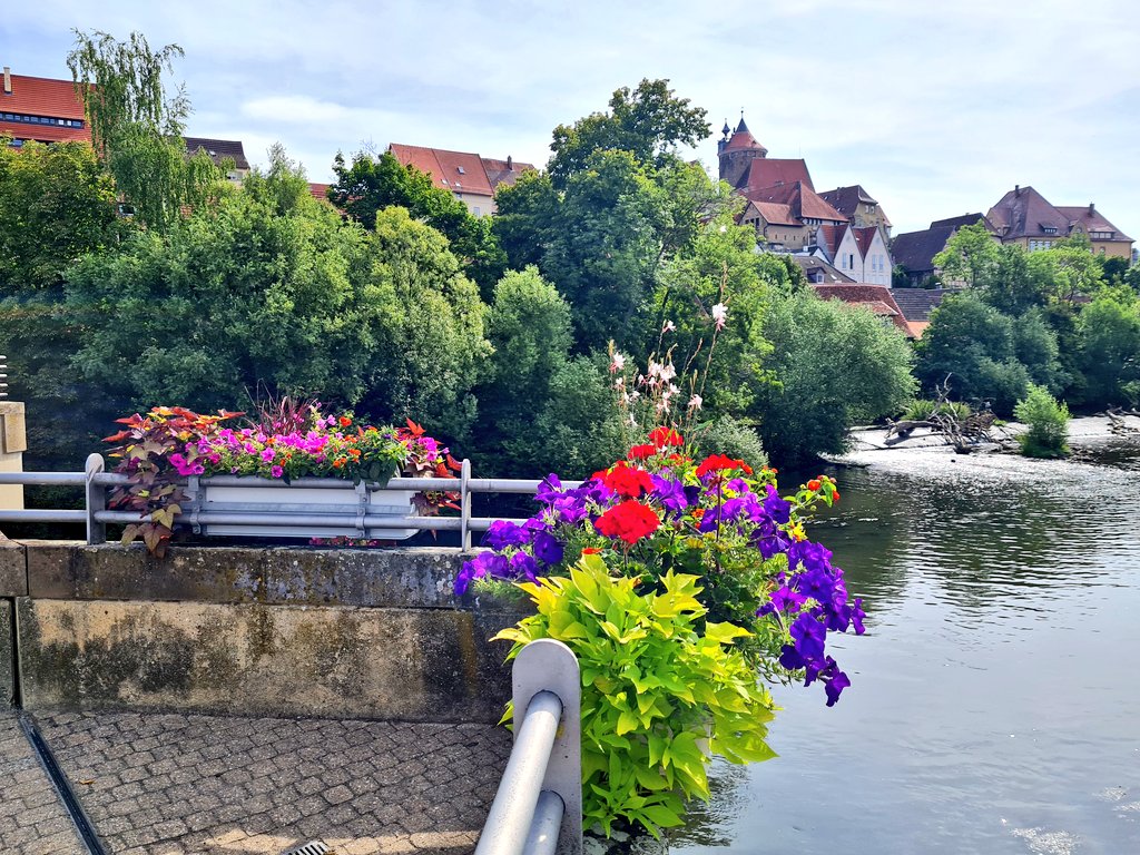 🏡 🥾 Hike around Besigheim 🍃⚘️