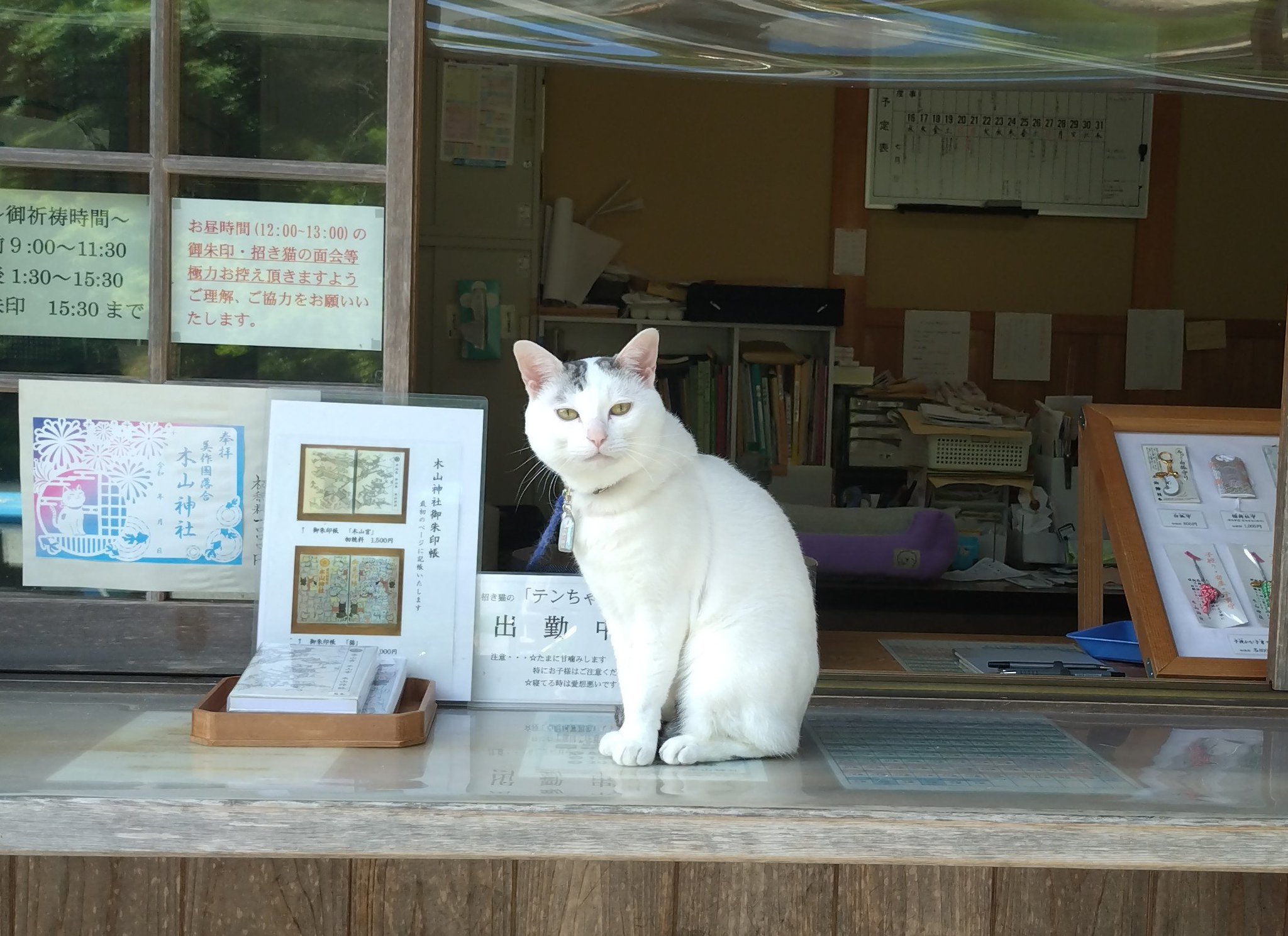 木山神社の招き猫 on X: 