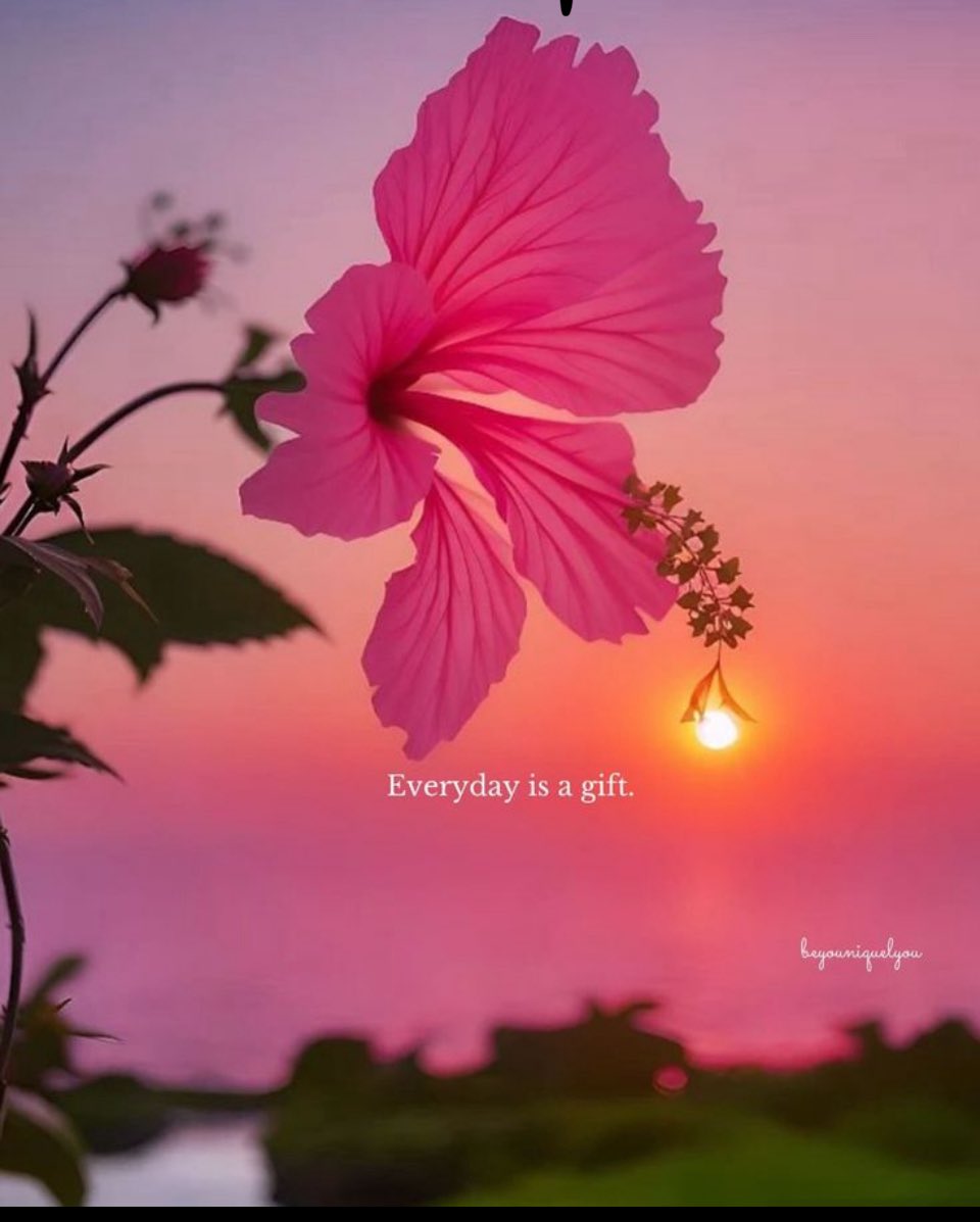 This 👇🏽👇🏽👇🏽👇🏽🙏🏽