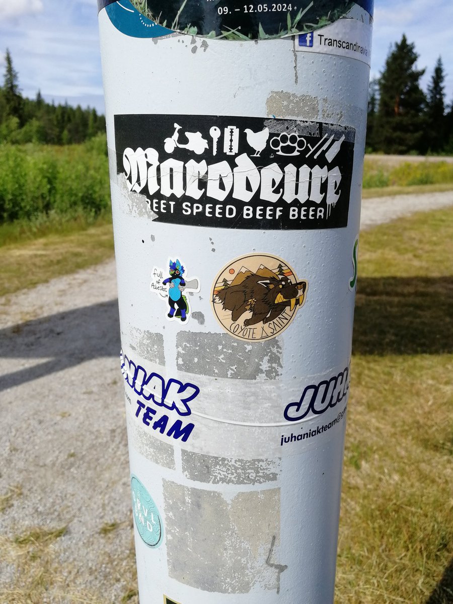 COYOTESAINT 𓃦˚☽˚｡⋆ tweet media