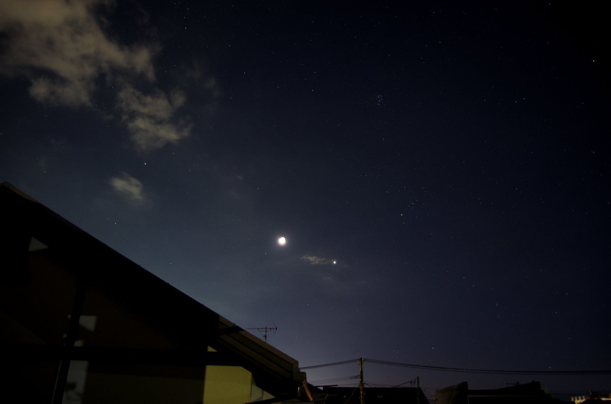 sinn_dk's tweet image. #月 #空ネット #アサソラ #金星 #プレアデス星団
月齢:26.4
撮影:04:04
今日の1枚目はこっちの方がよかったかな?とアップしてみる。
他の星はよく見えるように写ってるけど、月&金星がちょっと明るく写りすぎかな?と、朝の投稿では少し
暗めの方を選んだんですが。