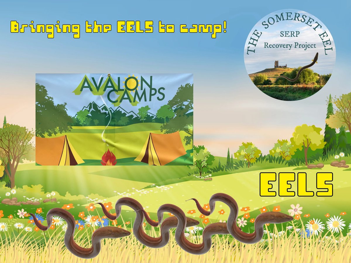 The_peoples_eel's tweet image. Today we are taking the eel story to Avalon Camps - a charity offering respite and summer camping experiences to deserving young people from inner cities.