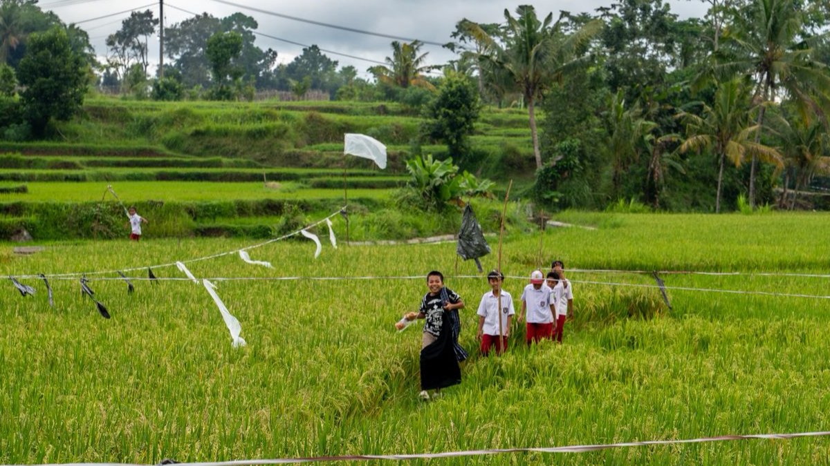 ADBPresident's tweet image. In Central Lombok, I saw how clean energy and community leadership are improving lives.
At the Sengkol Solar Farm, solar power is helping farmers and women entrepreneurs grow new businesses—from cassava chips to greenhouse produce sold to local hotels.
I also met Ibu Ratna,…