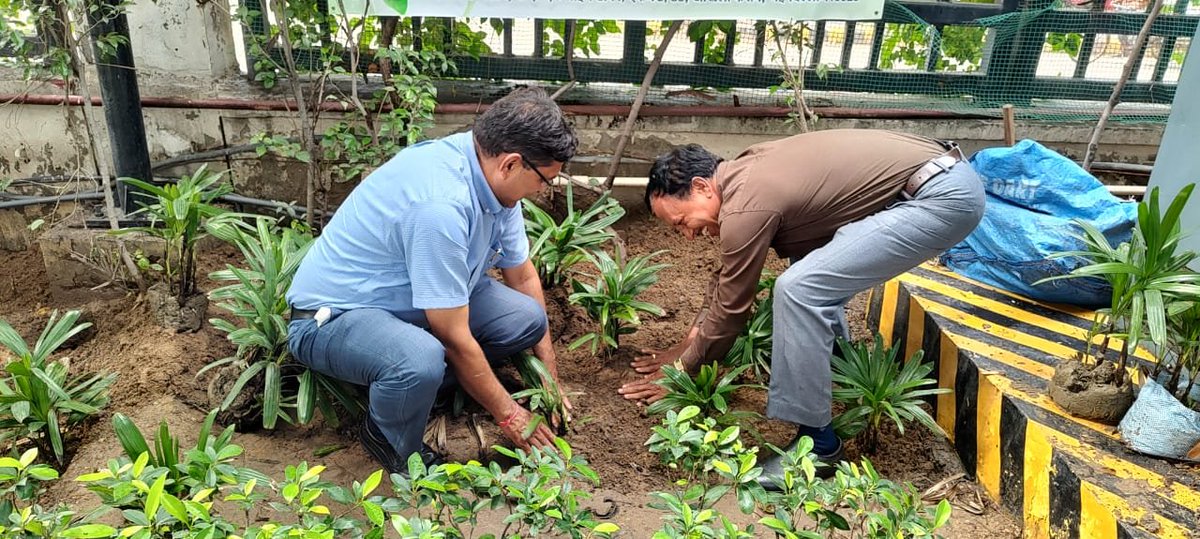 🌱Swachh surroundings, sustainable future!
Celebrating #SwachhtaPakhwada with a pledge to keep India clean and green through tree plantation.

#GreenIndia
#CleanIndia #SwachhBharat