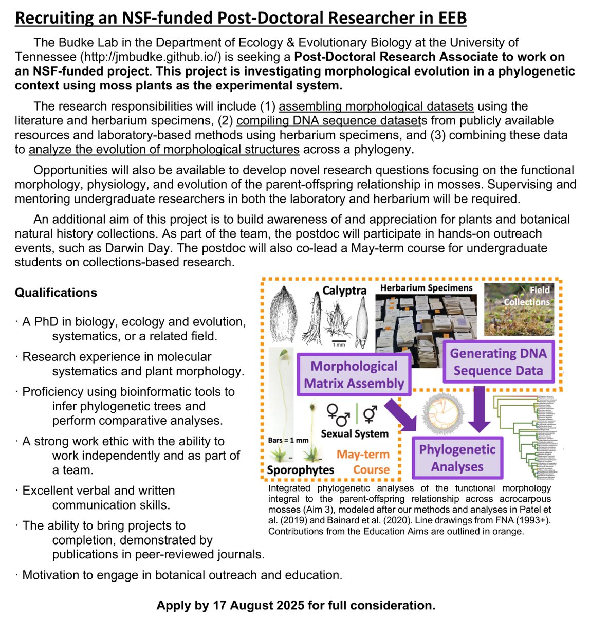 Jessica Budke PhD 🥼🌱🔬 (@mossplants) on Twitter photo Looking for a #postdoc position in evolutionary biology? Come join the Budke Lab <a href="/UTKnoxville/">UT Knoxville</a>! Read more about the lab here jmbudke.github.io & apply at this link …lq-saasfaprod1.fa.ocs.oraclecloud.com/hcmUI/Candidat…
Please share widely. Thanks! Looking for a #postdoc position in evolutionary biology? Come join the Budke Lab <a href="/UTKnoxville/">UT Knoxville</a>! Read more about the lab here jmbudke.github.io & apply at this link …lq-saasfaprod1.fa.ocs.oraclecloud.com/hcmUI/Candidat…
Please share widely. Thanks!