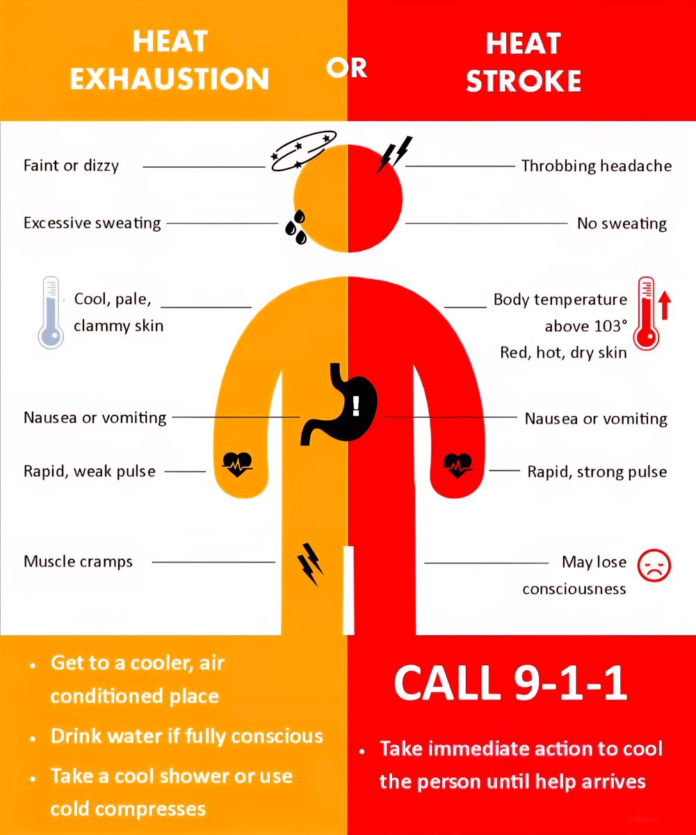 memphisweather1's tweet image. It's getting real (hot) now y'all! The hottest days of the week are today and tomorrow as temps flirt with 💯 and Extreme Heat Warnings continue. Heat indices will reach 110°. The effects of heat are cumulative, so make sure you are aware of the signs of heat illness.