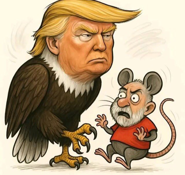 Neto822765's tweet photo. @DanielMaiaMello Visto americano? Vc acha que faria falta a ele? Além dele ser o único juiz imparcial, ele sabe que os EUA só começaram, sanções muito mais duras virão . Então ele não vai aderir a ditadura de toga. #aumentaatarifa https://t.co/eI8z3FPEvE