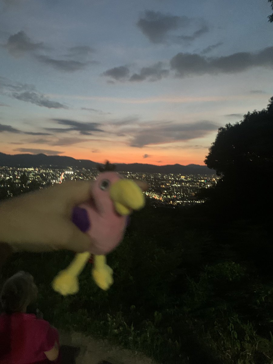 RowanVRGames's tweet image. Took opila bird to the peak of Kyoto! #gartenofbanban