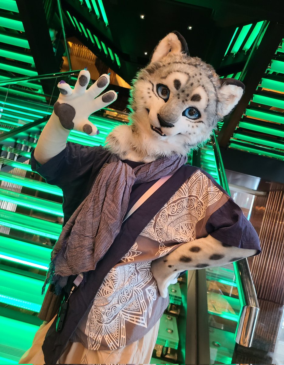 🦌📸✨️

#UTFG