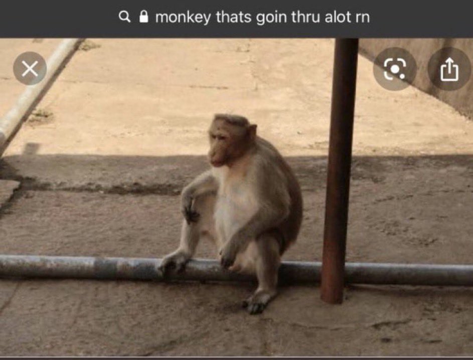 diabolicalpree's tweet image. Both of my AirPods AND the case are dead & my coworkers are starting to arrive to the office….