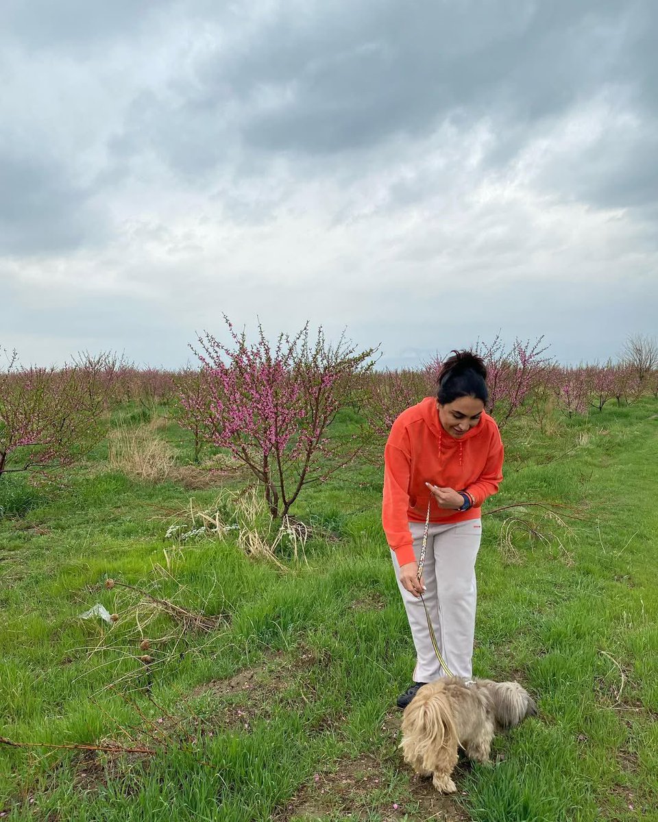 lockheedland's tweet photo. In a field where flowers bloom,
With my furry friend, I chase the gloom.
A little joy, a lot of cheer,
With sunshine, smiles, and love so near. https://t.co/a45u23oWfH