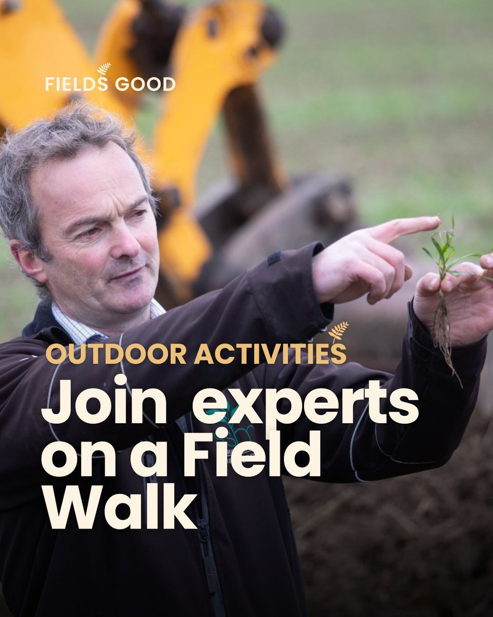 FieldsGood_ni's tweet photo. Read Your Soil: Guided Field Walk at Fields Good!
Ever wondered what your soil is telling you? Join us for a guided field walk with leading expert, Ian Robertson at Fields Good on September 6th and learn how to read your soil.
#FieldsGood #Soil #SoilHealth #FieldWalk https://t.co/OVD0QEBghB