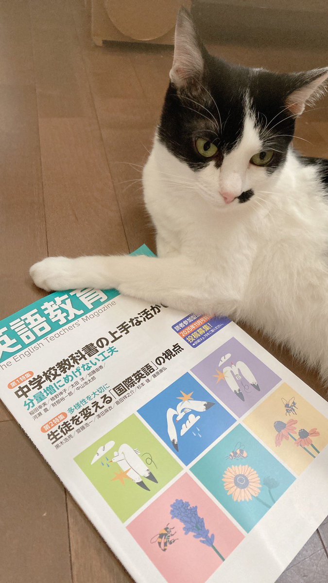 r_maimai's tweet image. 「『ピーナッツ』で味わう英語表現」第5回は、サリーと接続詞beforeやuntilの話です。『英語教育』8月号に掲載です〜。
猫がかわいいってだけで「いいね」してくれてもいいんですよ。