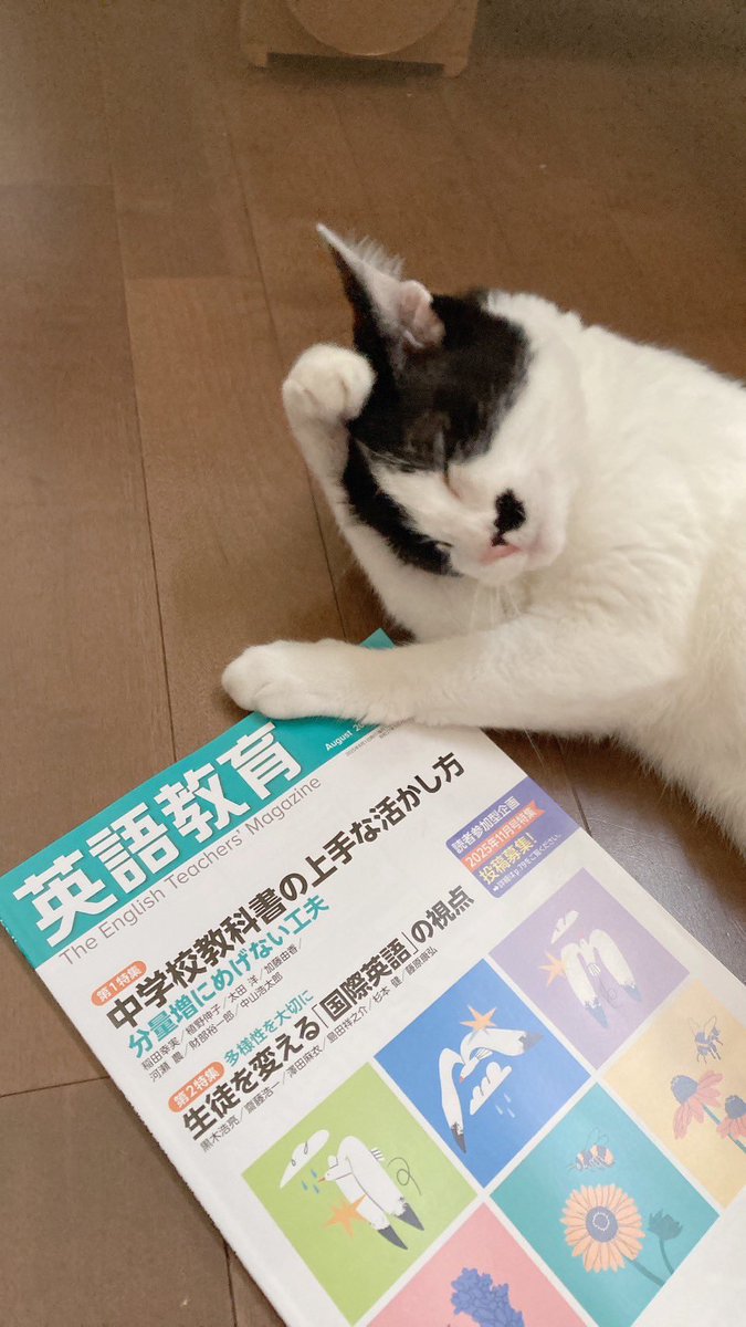 r_maimai's tweet image. 「『ピーナッツ』で味わう英語表現」第5回は、サリーと接続詞beforeやuntilの話です。『英語教育』8月号に掲載です〜。
猫がかわいいってだけで「いいね」してくれてもいいんですよ。