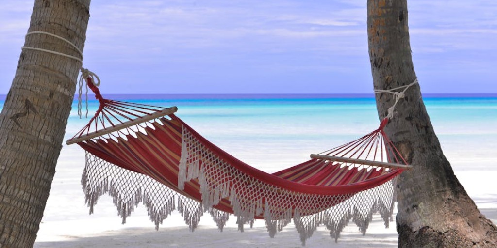 OCR_RS's tweet image. 馃摚 #RSteachers- whenever you finish term, we hope you have a restful summer break!