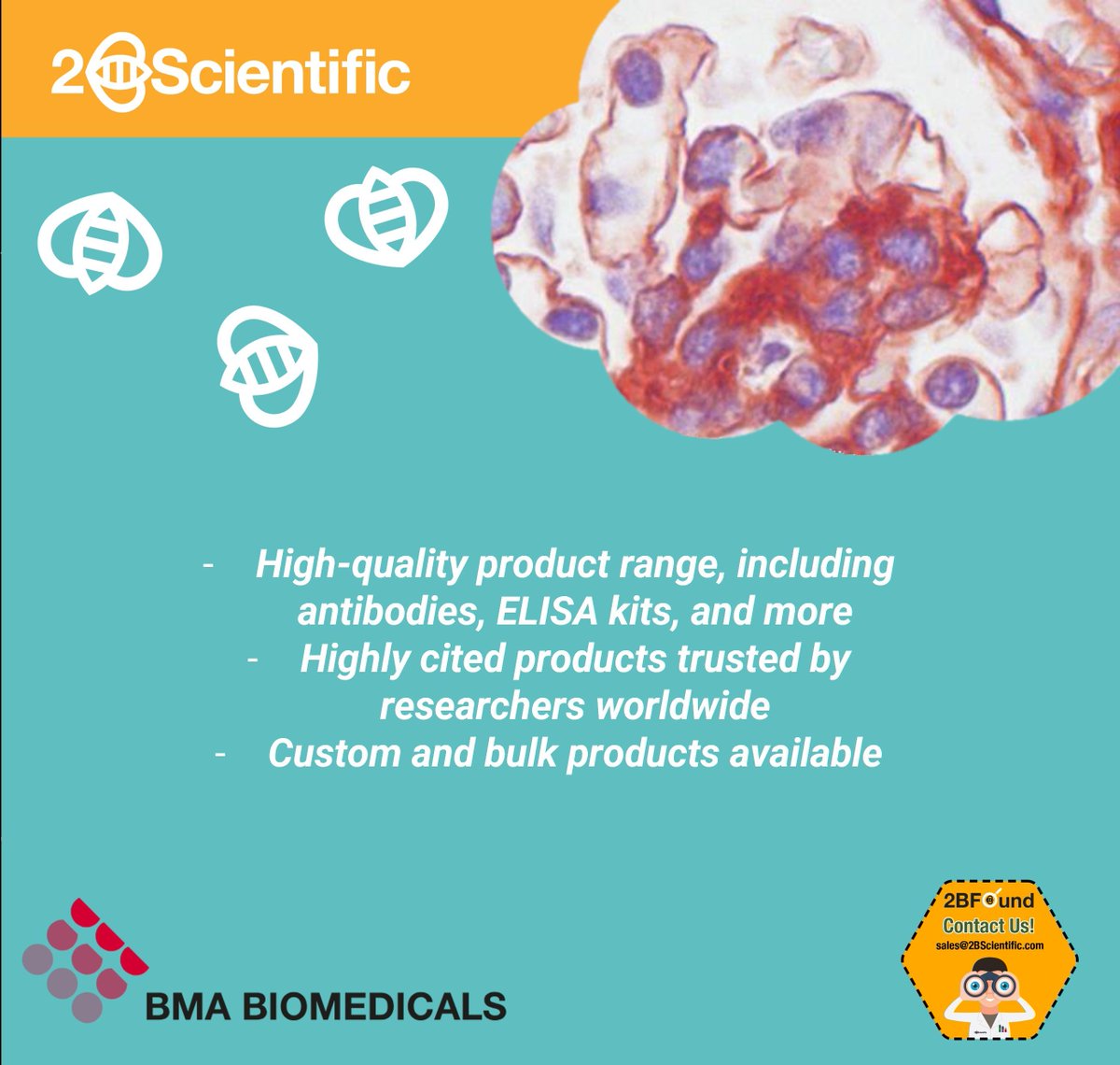 We're delighted to welcome BMA Biomedical to the 2BScientific Supplier Network! 🧪 

Named the Top Swiss Biotech Company of 2024, BMA is a leading manufacturer of high-quality immunological reagents, trusted by researchers worldwide. 🌍