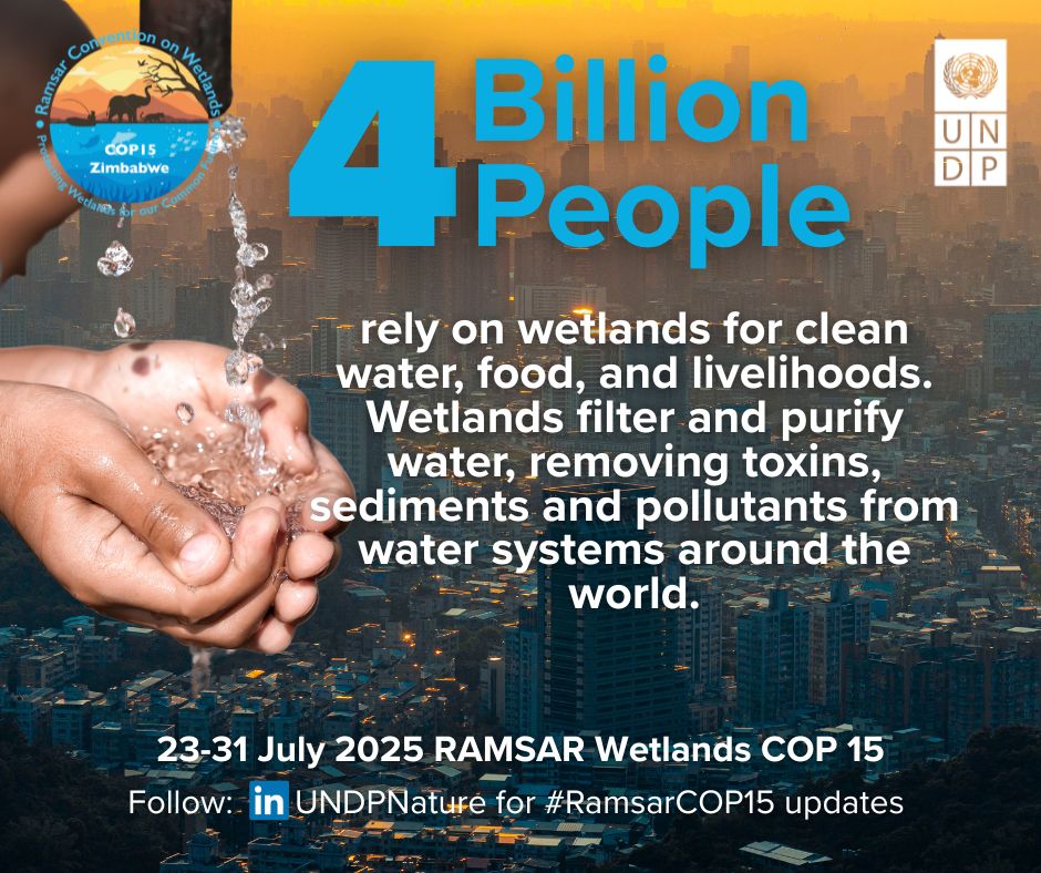 UNDPClimate's tweet image. 🌍 4 billion people rely on wetlands for water, food & livelihoods. That's 50% of everyone on earth.
Wetlands can seem remote but they’re essential.
Follow @UNDP and @UNDPZimbabwe at #RamsarCOP15 - the Wetlands COP - 23-31 July
#WetlandsMatter #ForPeopleForPlanet