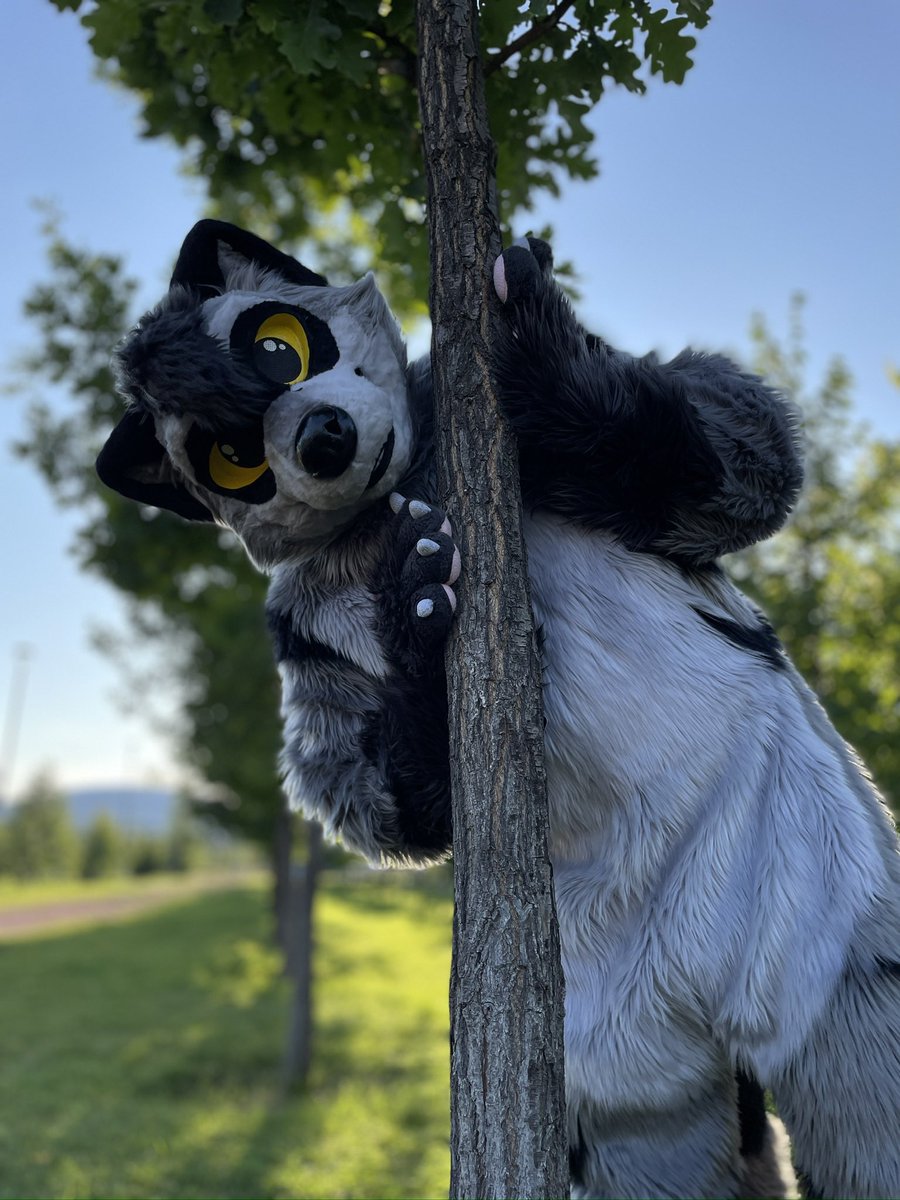 roykh_exe's tweet image. He thinks I can’t see him
