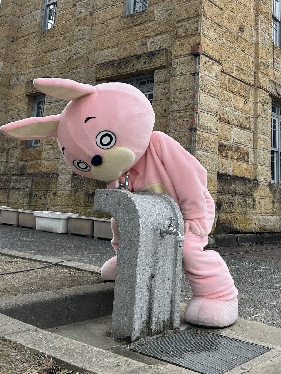 桃色ウサヒ やさた on X: \"最近、桃色ウサヒにハマりすぎて作ってしまった。 本人