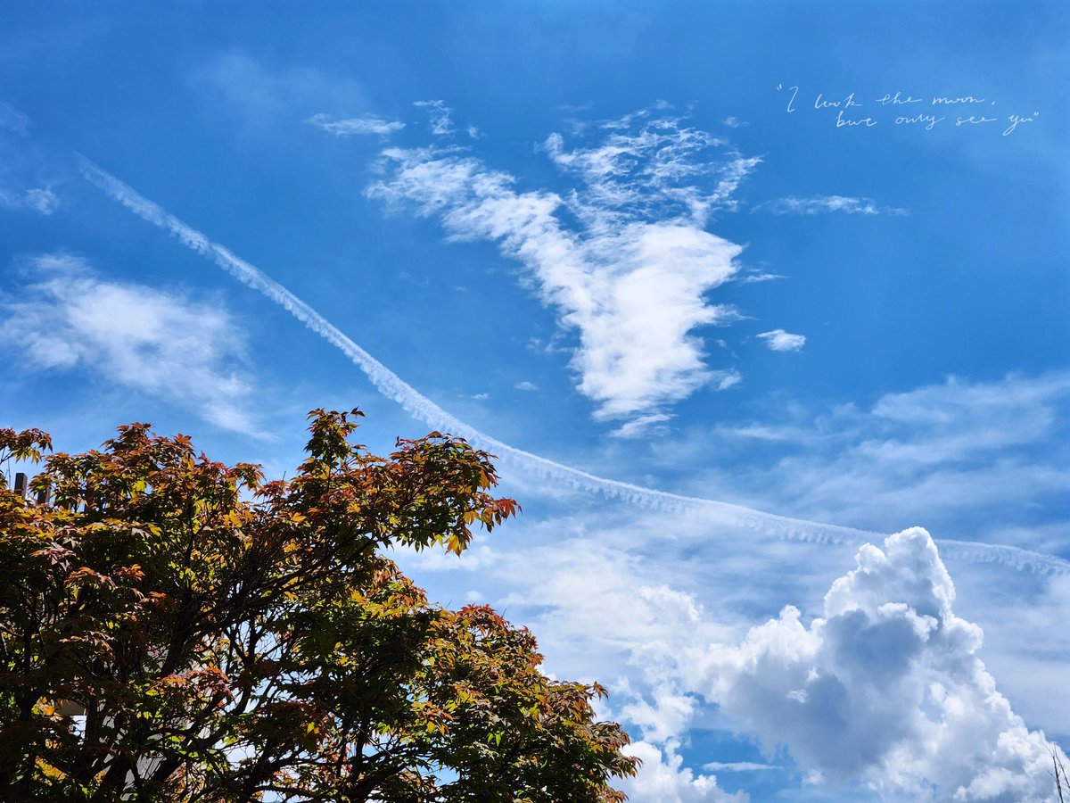 인생은 선 긋기