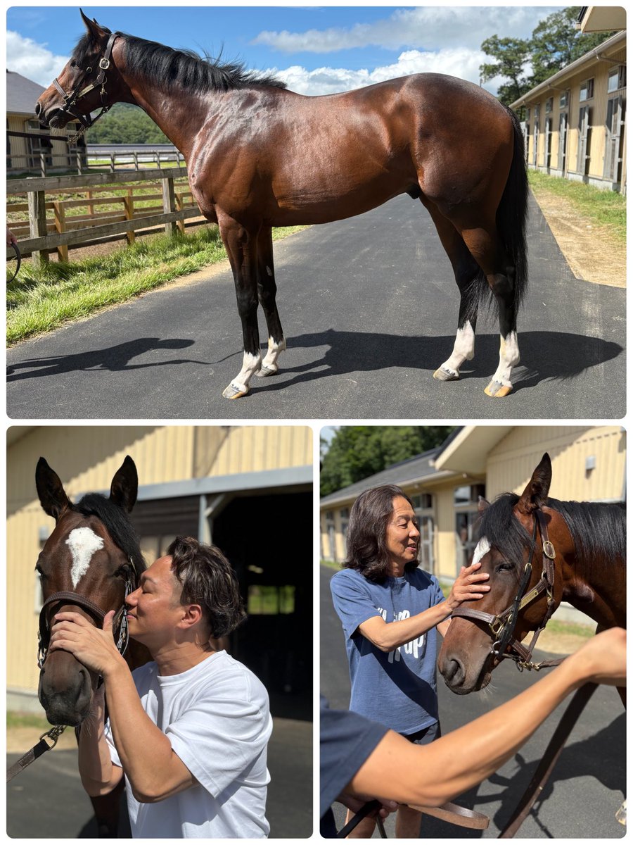Levezza_Don's tweet image. four C fine
馬名募集させていただいた4Cこと、フォーシーファイン🐴です😊
2歳牡馬で、現在477kgです🐎
ゲート試験でガレちゃったのですが、この暑い中🫠馬体重戻してくれました😌
一安心です。
デビューに向けてもう少し作ってもらいます✨
馬体師絶賛してますので…期待してます😆