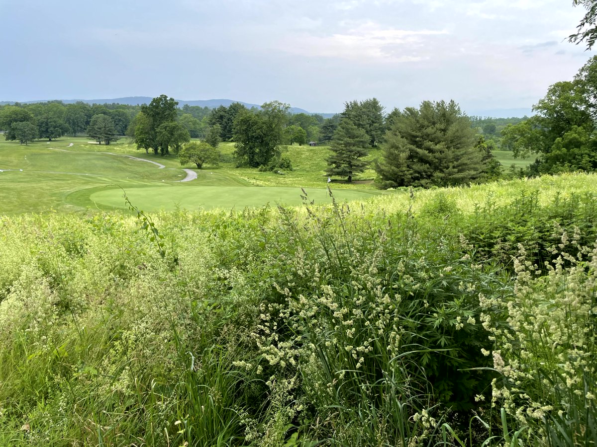 NYstateparks's tweet image. Morning on the links.
📍 Dinsmore Golf Course, Staatsburgh
📷 John Craig