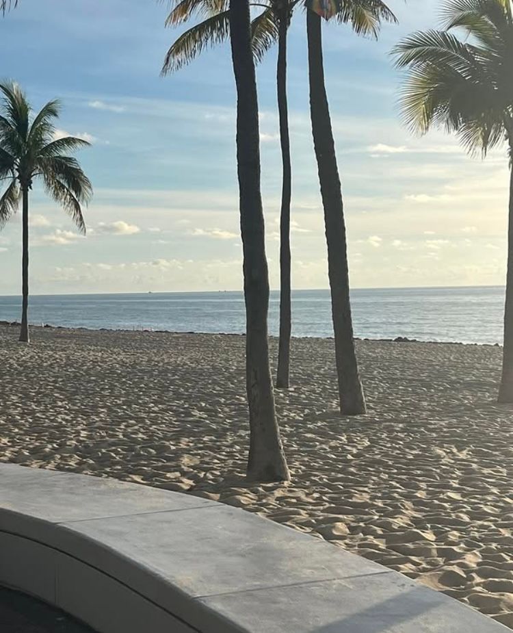 Happy Tuesday! 👍 

#goodmorning #fortlauderdale #morning #southflorida #florida #july #summer #beach #laudy #wakeup #ftlauderdale #july4th #lauderdale #broward #tuesday #traveltuesday #oceanview #visitflorida #lauderdale #visitlauderdale #4thofjuly #2025 #nature #instamorning