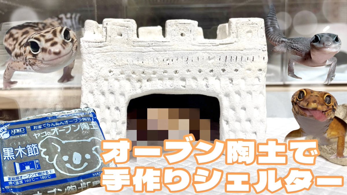 新春セール！！手作り爬虫類シェルター（ゴツゴツ岩感・陶器埋め込み