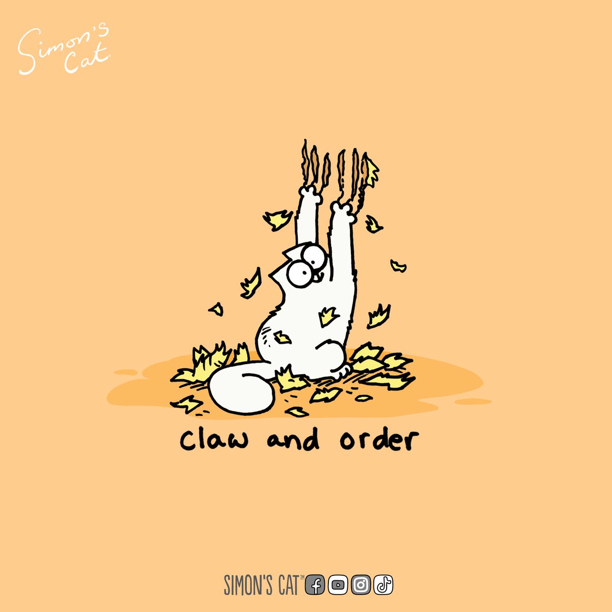 SimonsCatMeme's tweet image. Using my claws to buy everything in the orderbooks 😼