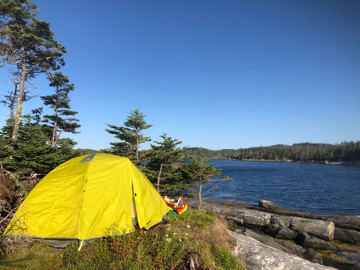 NSwilderness's tweet image. Good morning from Eastern Shore Islands. Bright sunshine but brisk winds out of the northwest. Our biodiversity surveys begin soon!!