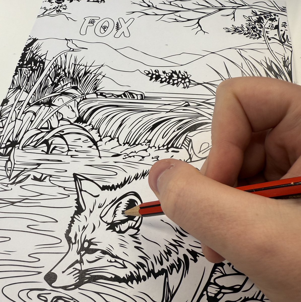ProtectTheWild_'s tweet image. Colour-in posters are now available! Packs of 5 animals! :)
protectthewild.shop/products/colou…