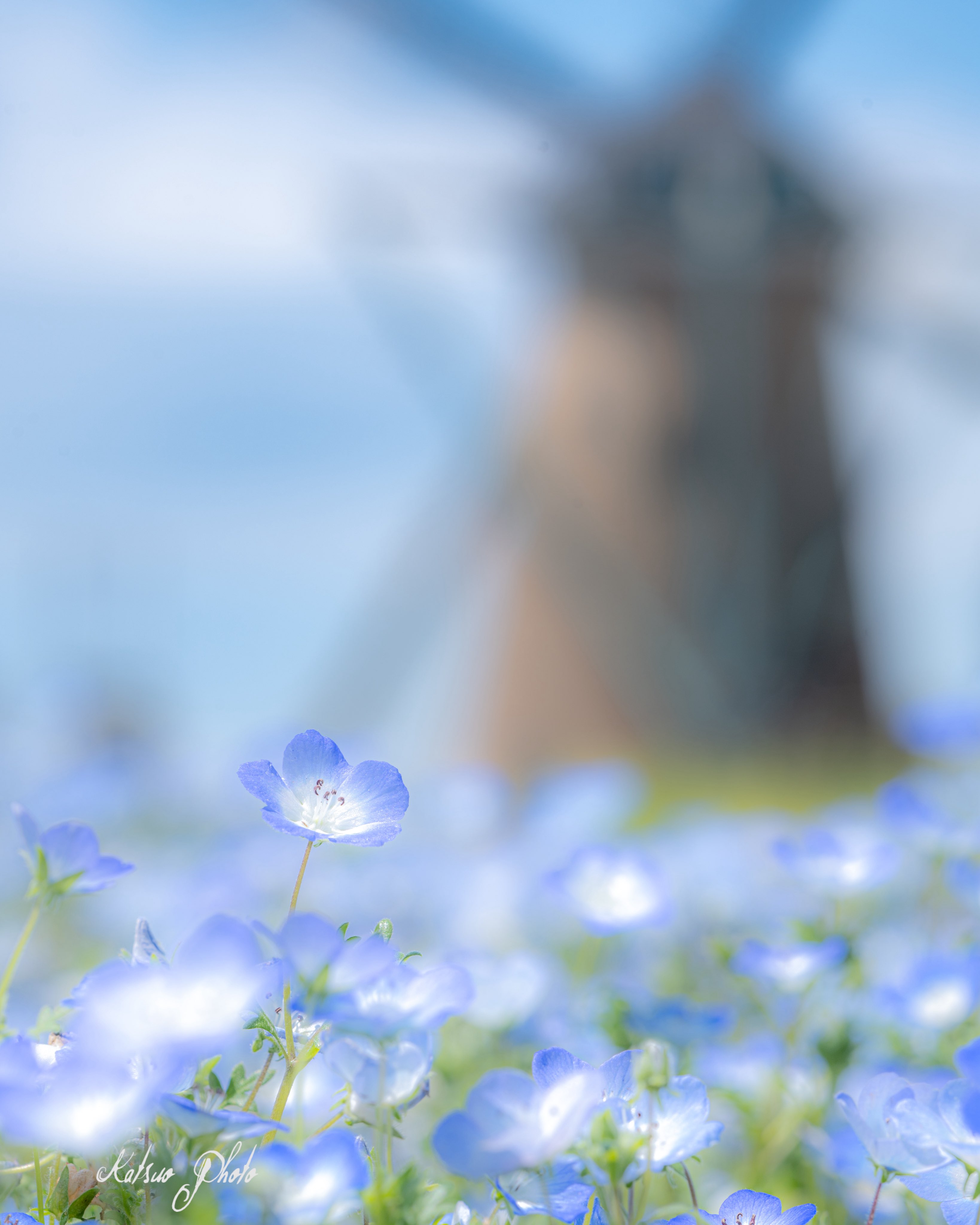 とても古いオリジナルプリントです。避暑地で撮られたもの mqdefault.jpg