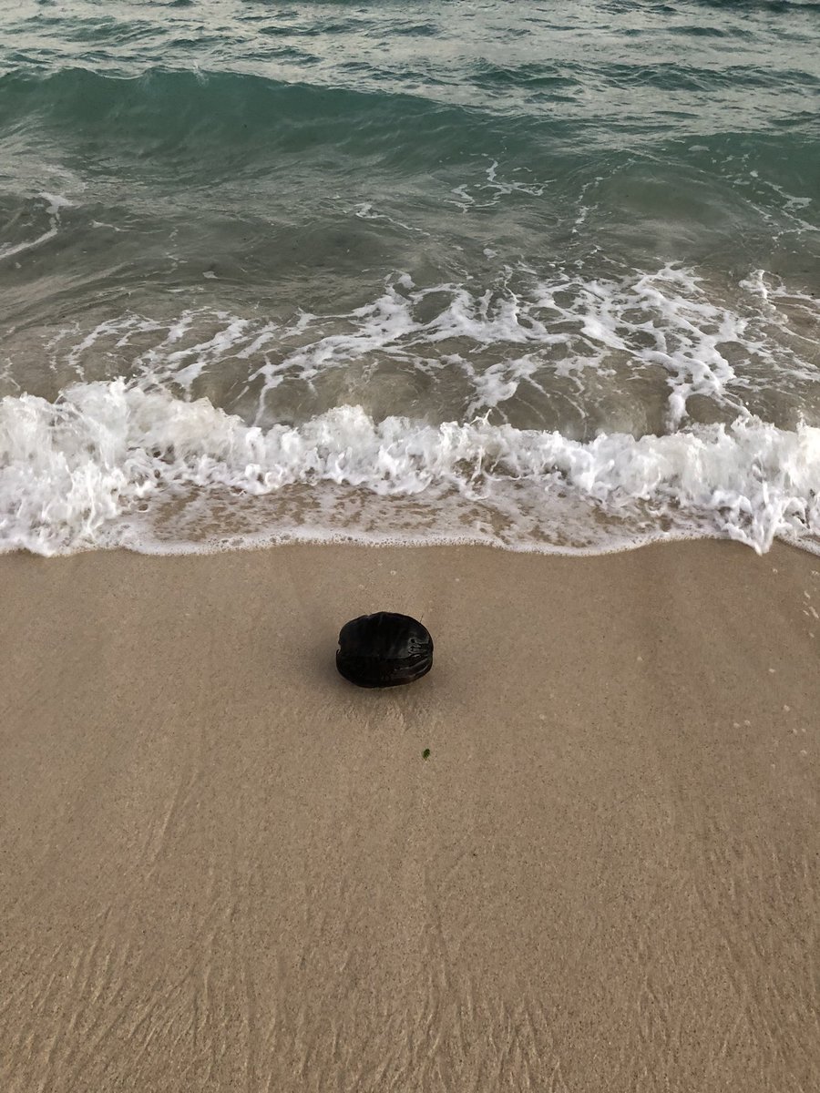 Emang bener kata orang,kalau sudah selesai penasaran pasti akan menghilang.!!!!!