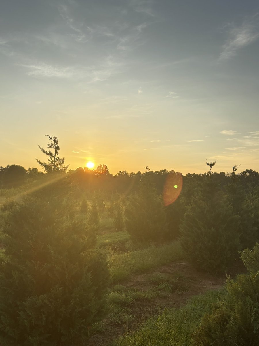 MrRedude's tweet image. Good morning Georgia my beloved