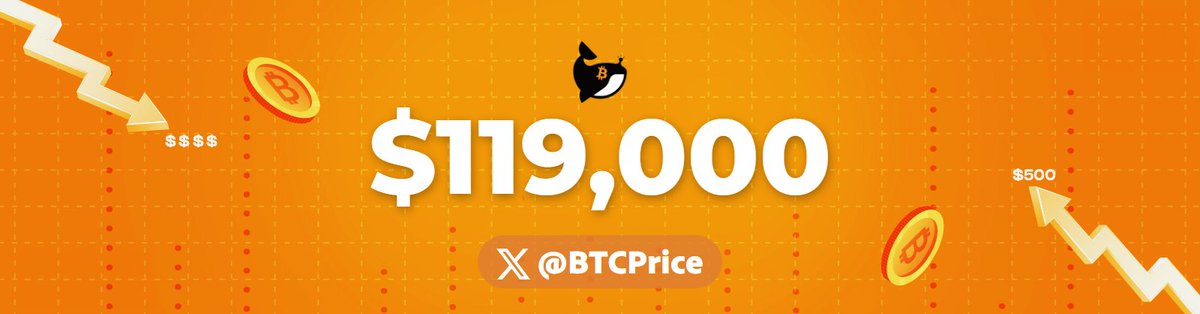 🟢 Bitcoin Price: $119,000