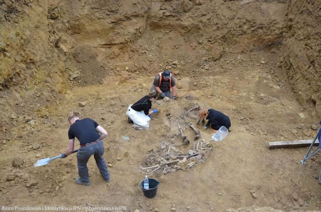 MarinaMedvin's tweet image. Another Holocaust-era mass grave has been discovered in Poland. Around 880 bodies are estimated to be buried in this deep pit in Lublin. It’s consistent with eyewitness testimony about mass executions in that area between March 26 and March 28, 1942.
Jews are now asking for this…
