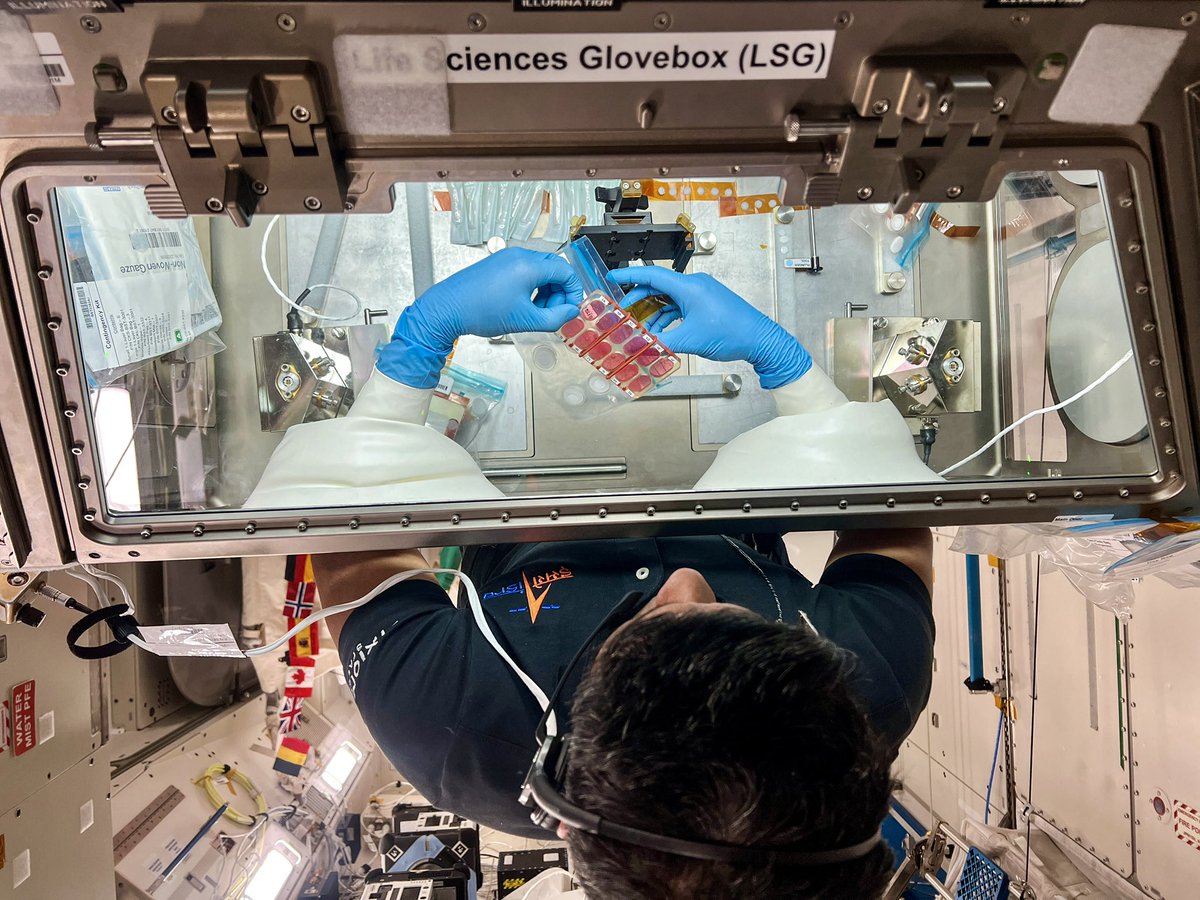 gagan_shux's tweet image. Science from space - one of the highlights of this mission was conducting science in microgravity.
Simple experiments become complex due to the environment of microgravity. Since everything floats, nothing would break if you leave it but would surely float away and you may end up…