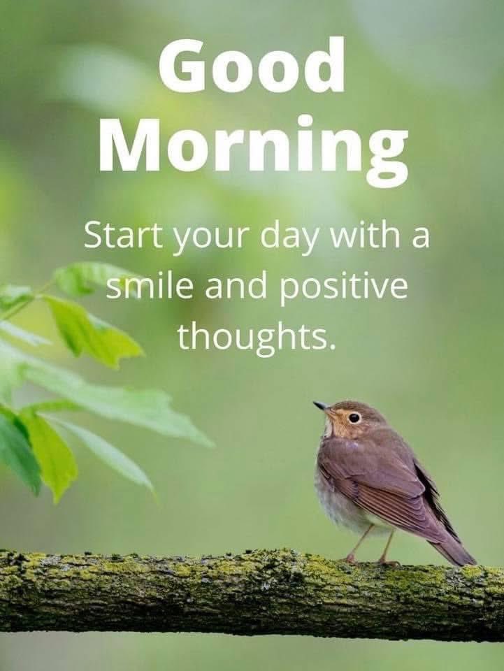 joanie_tweet's tweet image. Good Tuesday Morning! ☀️
What You Find in Your Mind is What You Put There.
Put Good Things in There!
I Hope Your Day is Filled with Good Thoughts and Lots of Smiles! 😊❤️🤗
#GoodThoughts #Smiles #PositiveMindset
#TuesdayThoughts #TuesdayMotivaton