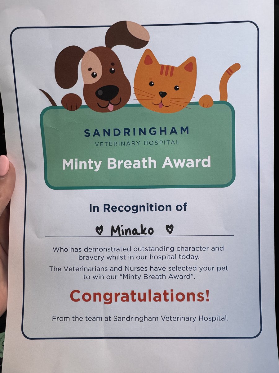 _sarahyo's tweet image. Proud dog mum moment: Mina went to the vets for teeth cleaning. She was the goodest girl and got a certificate.