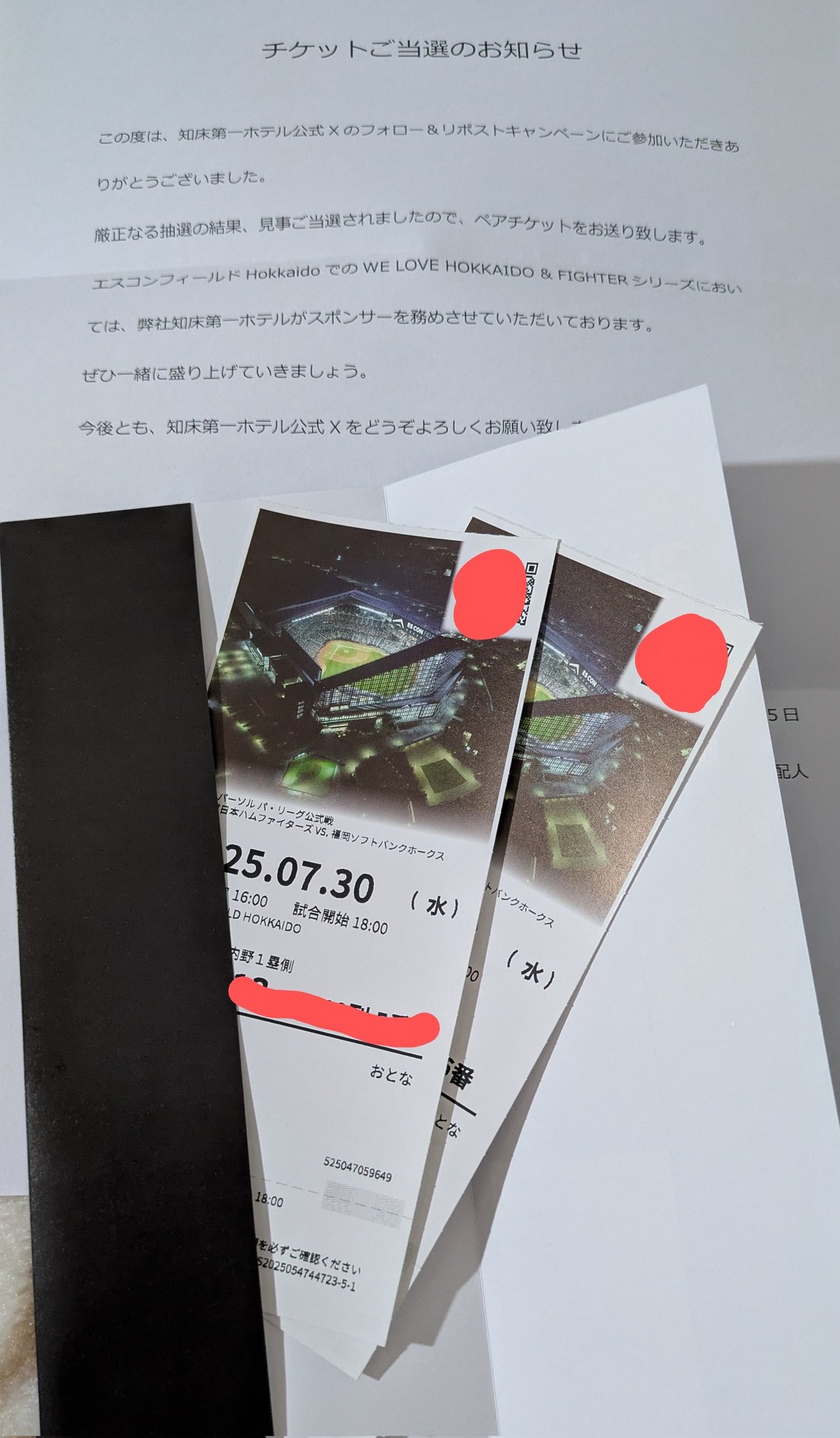 限定 whatwewan tentoten pastime 北海道物産展 セット タジマ セフ引出しボックス2段セット TB-HBOX2