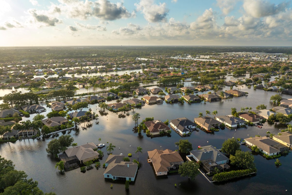 NFP, an Aon company (@nfp) on Twitter photo Construction is changing with the climate:
✔️ Stronger, smarter materials
✔️ Real-time weather monitoring
✔️ Faster claims with parametric policies
✔️ Greener, more durable builds
👀 See how the industry is adapting: nfp.com/insights/const…
#NFP #Insurance #ConstructionIndustry Construction is changing with the climate:
✔️ Stronger, smarter materials
✔️ Real-time weather monitoring
✔️ Faster claims with parametric policies
✔️ Greener, more durable builds
👀 See how the industry is adapting: nfp.com/insights/const…
#NFP #Insurance #ConstructionIndustry